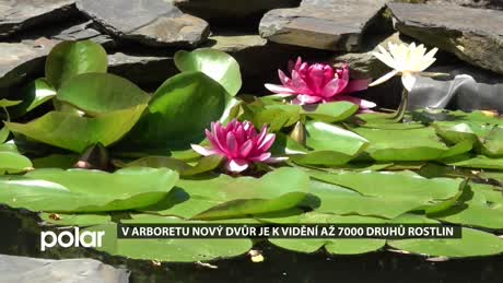 Kam vyrazit