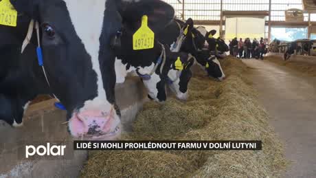 Miniexpres Dolní Lutyně