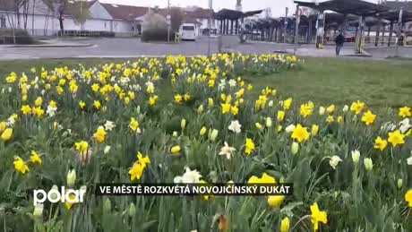 Novojičínský expres