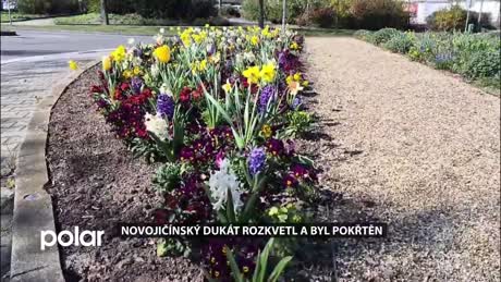 Novojičínský expres