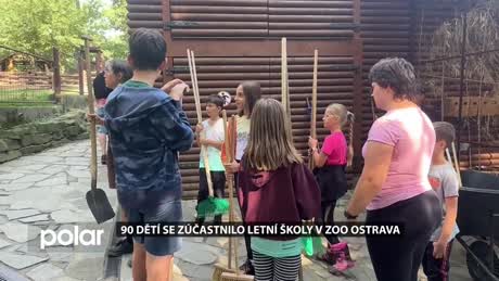 Slezskoostravský expres