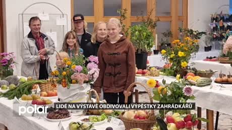 Palkovický miniexpres