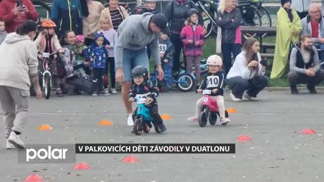 Palkovický miniexpres