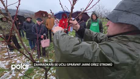 Palkovický miniexpres