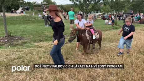 Palkovický miniexpres