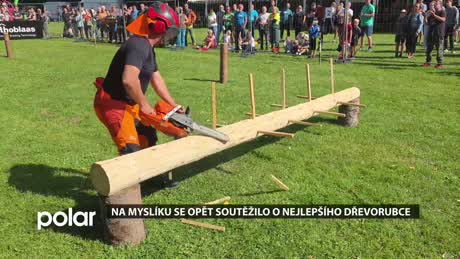 Palkovický miniexpres