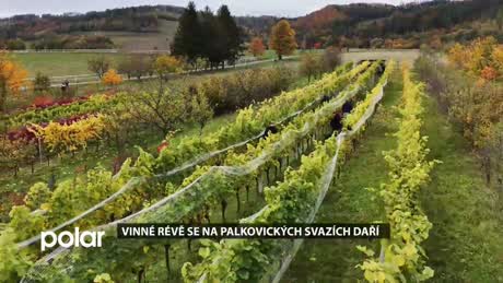 Palkovický miniexpres