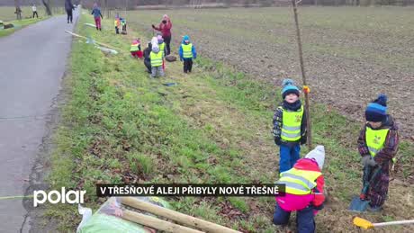 Rychvaldský miniexpres