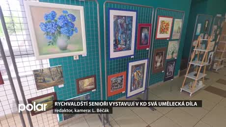 Rychvaldský miniexpres