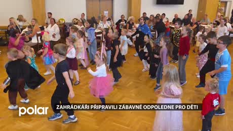 Rychvaldský miniexpres