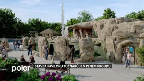 Slezskoostravský expres