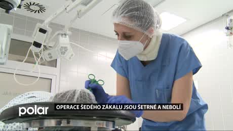 Magazín TV medicína