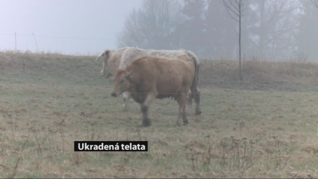 Regionální zprávy POLAR