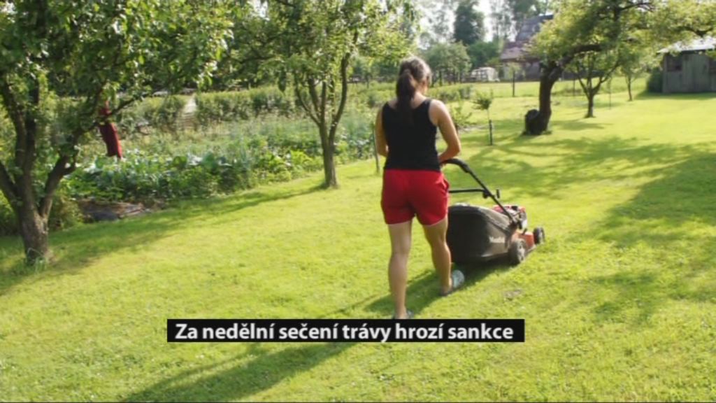 Regionální zprávy POLAR