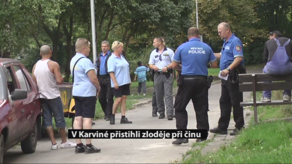 Regionální zprávy POLAR