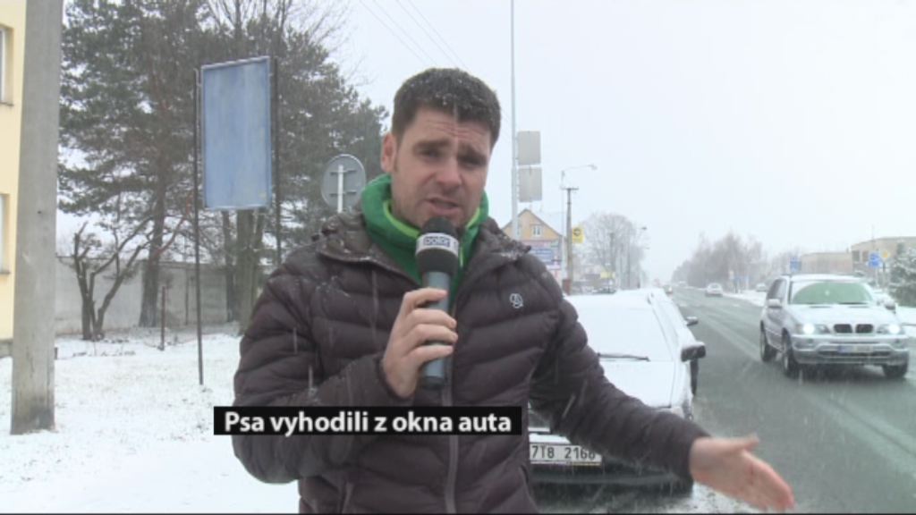 Regionální zprávy POLAR