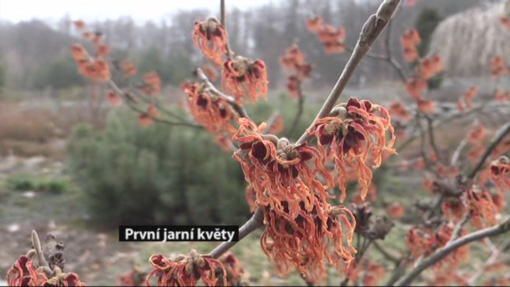 Regionální zprávy POLAR