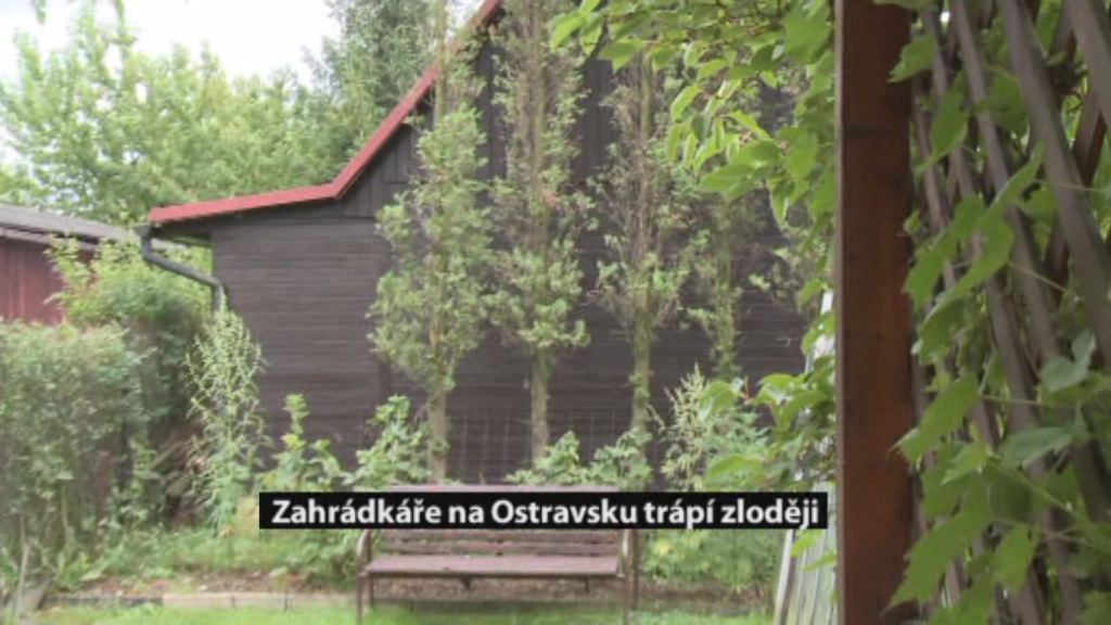 Regionální zprávy POLAR