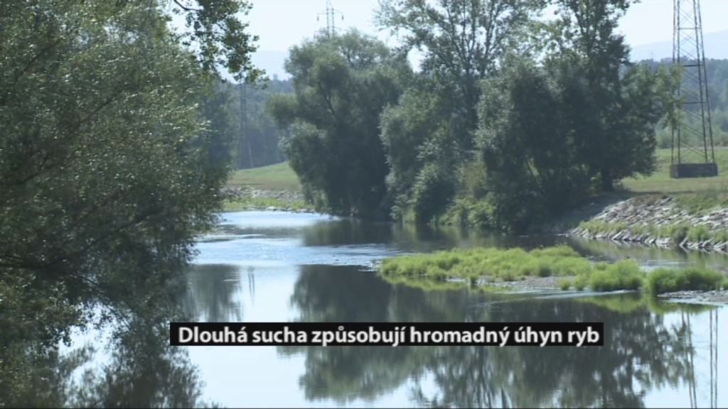 Regionální zprávy POLAR