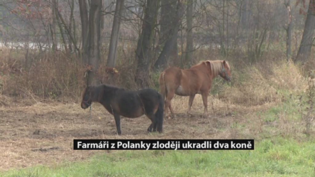 Regionální zprávy POLAR