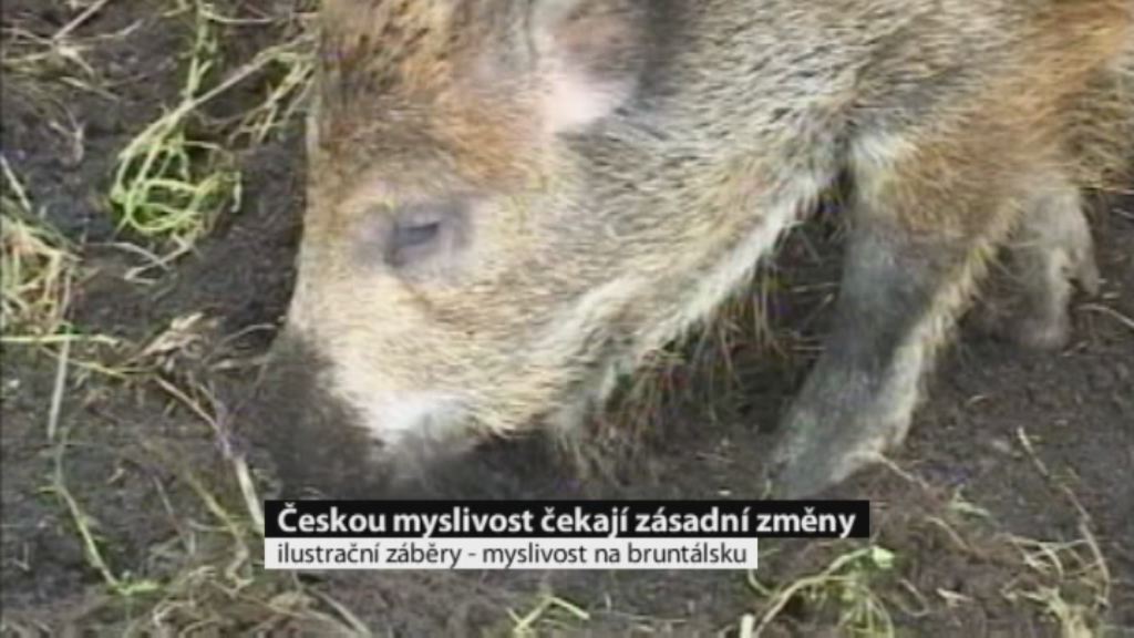 Regionální zprávy POLAR