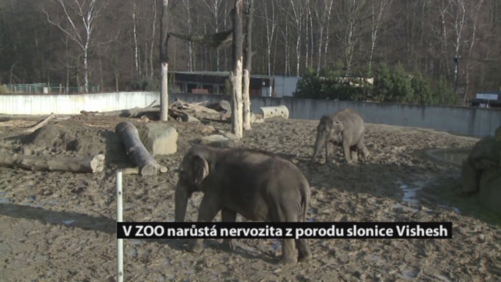 Regionální zprávy POLAR