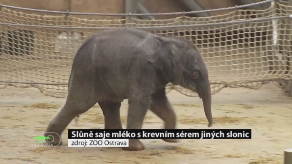 Regionální zprávy POLAR