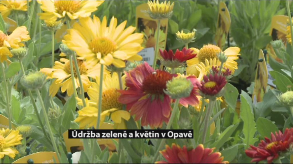 Regionální zprávy POLAR