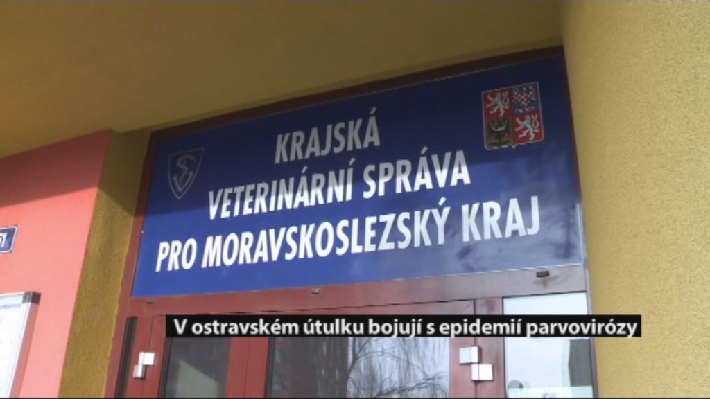 Regionální zprávy POLAR