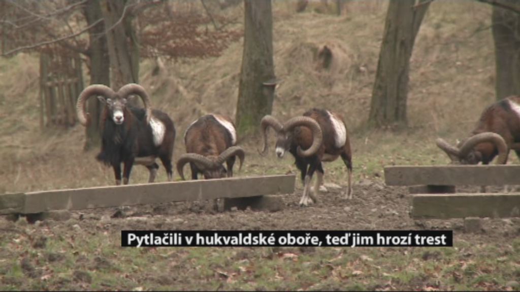 Regionální zprávy POLAR