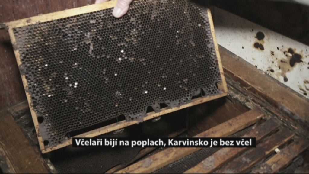 Regionální zprávy POLAR