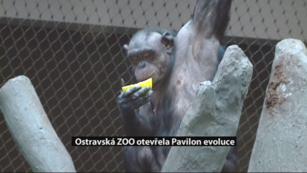 Regionální zprávy POLAR