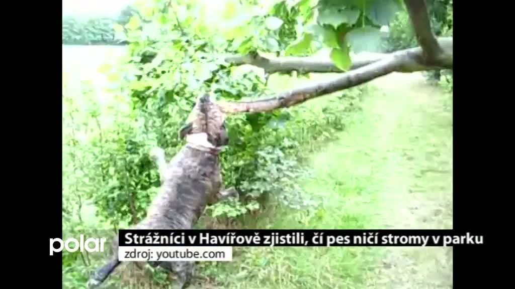 Regionální zprávy POLAR