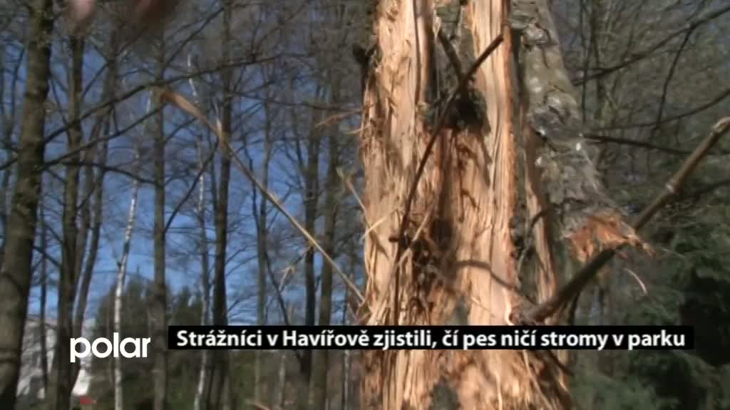 Regionální zprávy POLAR
