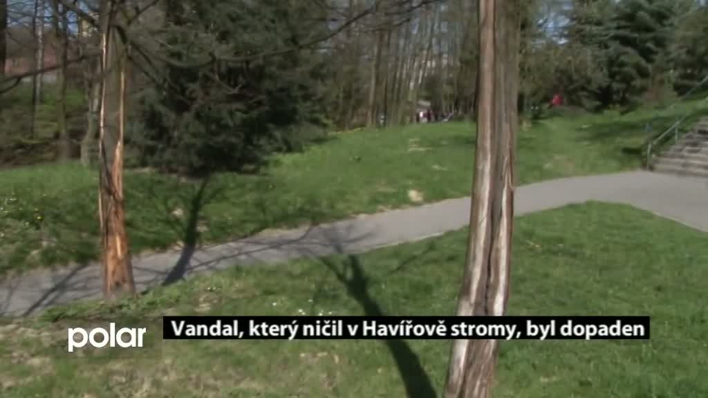 Regionální zprávy POLAR