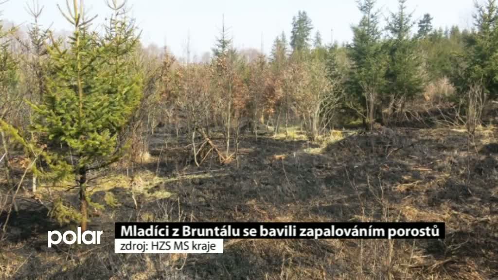 Regionální zprávy POLAR