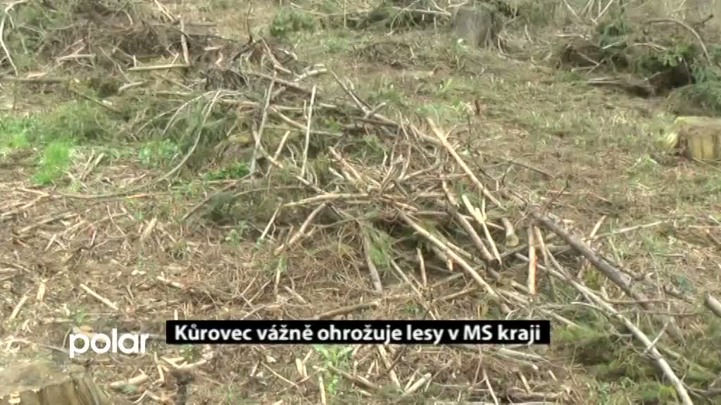 Regionální zprávy POLAR