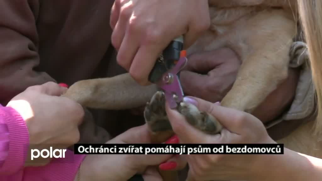 Regionální zprávy POLAR
