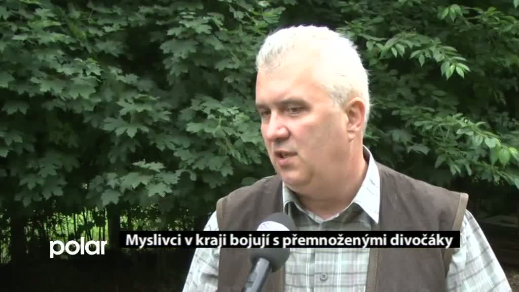 Regionální zprávy POLAR