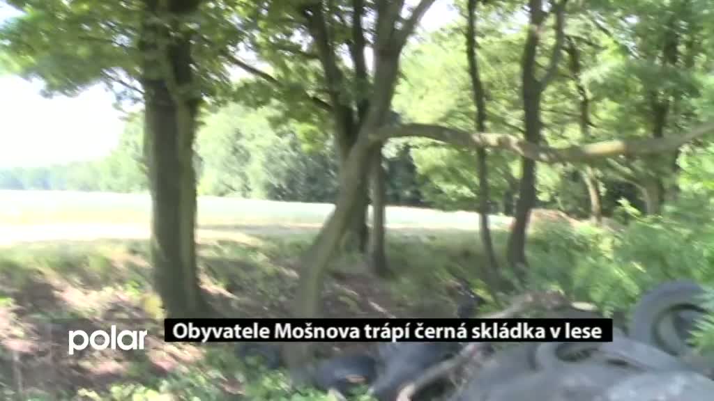 Regionální zprávy POLAR
