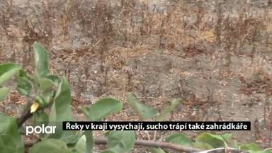 Regionální zprávy POLAR