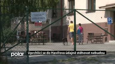 Regionální zprávy POLAR
