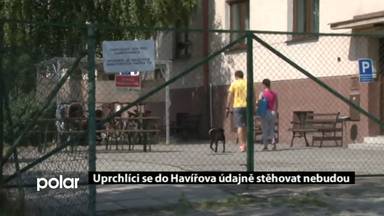 Regionální zprávy POLAR