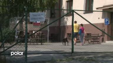 Regionální zprávy POLAR