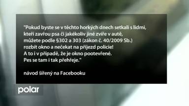 Regionální zprávy POLAR