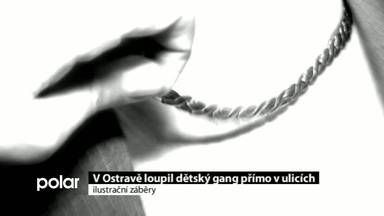 Regionální zprávy POLAR
