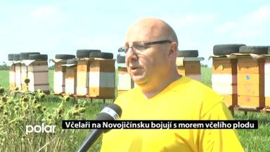Regionální zprávy POLAR