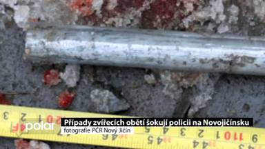 Regionální zprávy POLAR