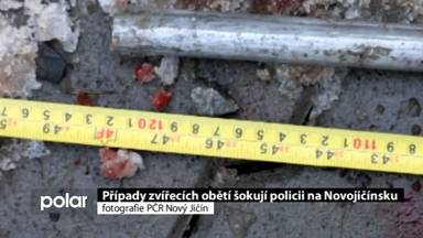 Regionální zprávy POLAR