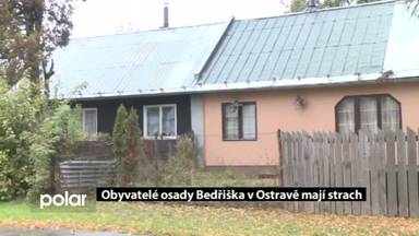Regionální zprávy POLAR